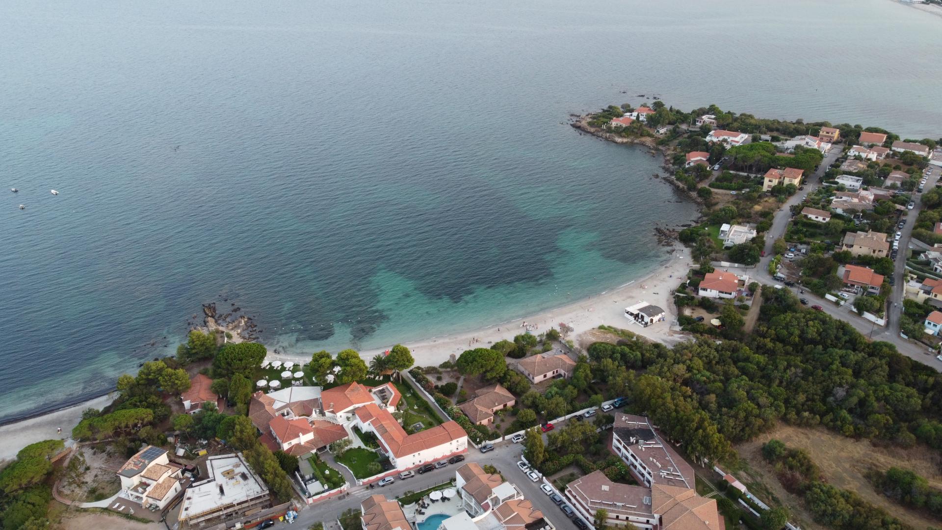 Foto Pellicano